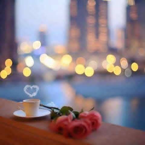وسائط صورة: أود أن أوجّه كلمة شكر وتقدير لكل الأصدقاء الجدد الذين أضافوا لم…