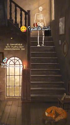 صورة معاينة: فيديو من عبدو الشبلي