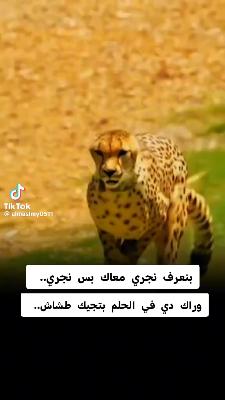 صورة معاينة: فيديو من AIi KANE AIi