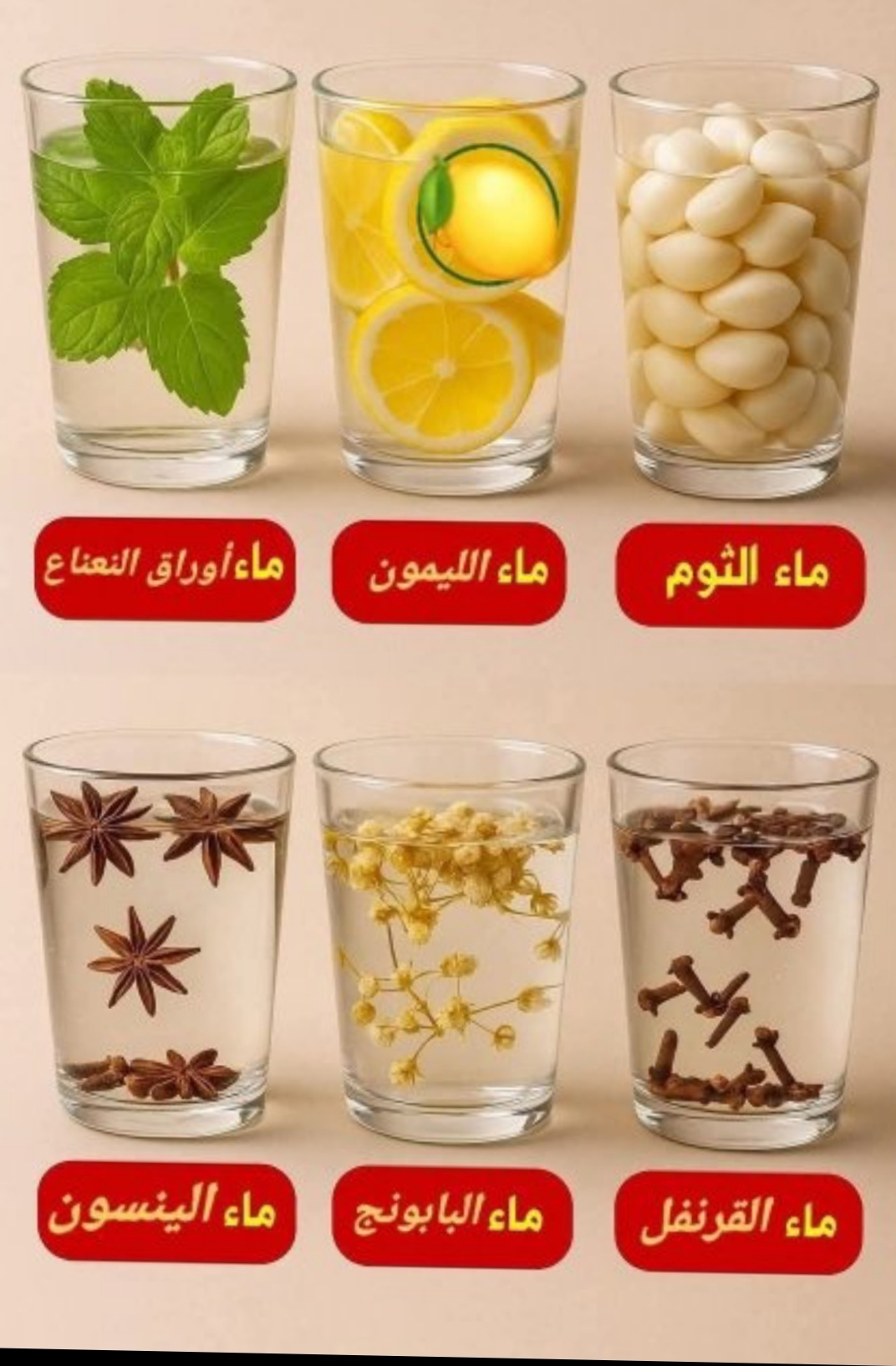 وسائط المنشور 1