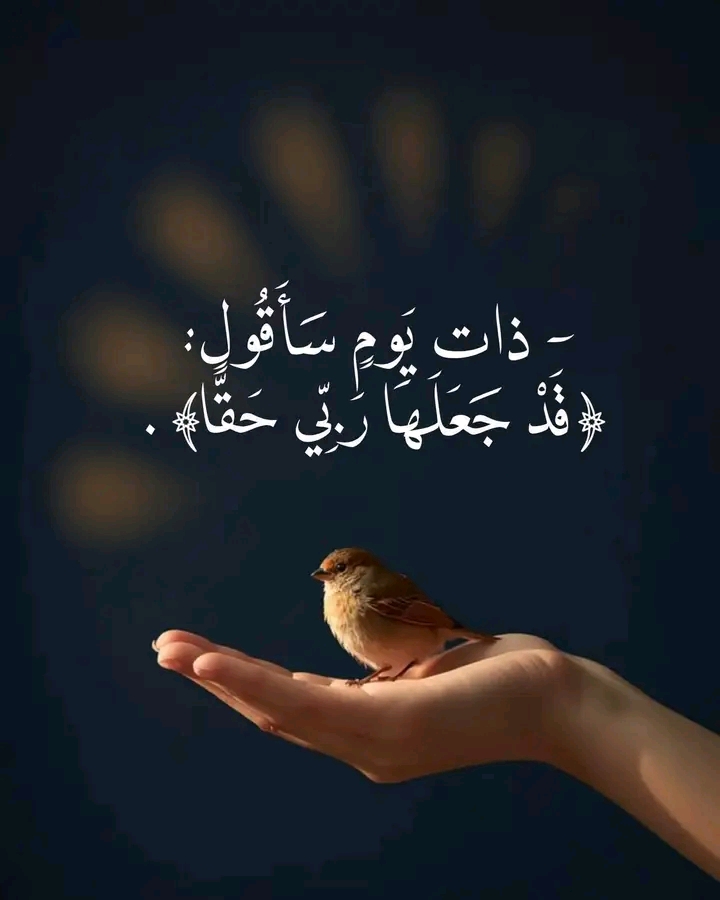 وسائط المنشور 1