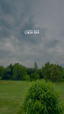 صورة معاينة: #موسوعة_الفقه_الإسلامي