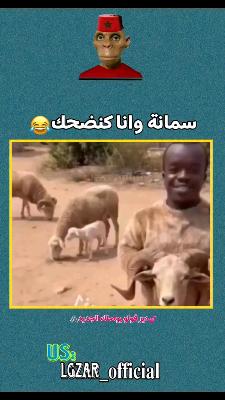صورة معاينة: فيديو من احمو داوس