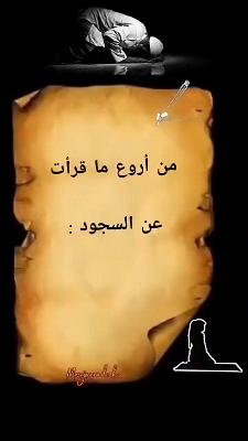 صورة معاينة: فيديو من حمدي محمد