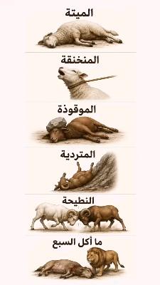 صورة معاينة: فيديو من سمارت دوون