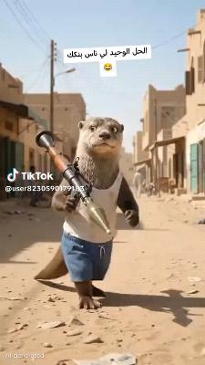صورة معاينة: فيديو من Abdul Qadir