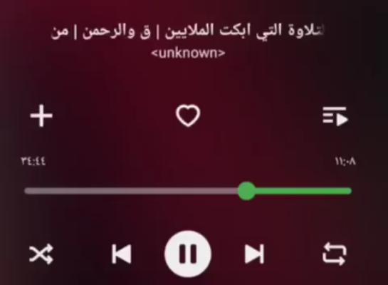 صورة معاينة: القارئ : محمد صديق المنشاوي.